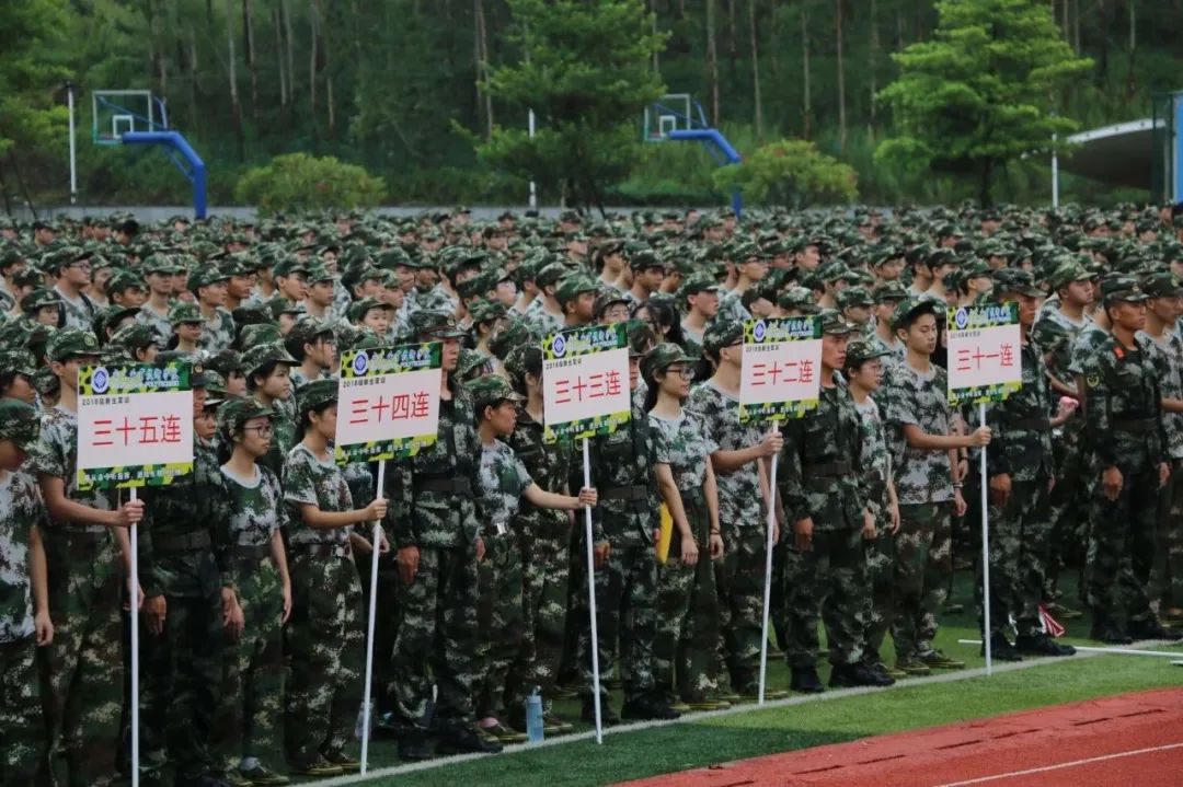 广东职业技术学院高职高考多少分,高职高考广东职业技术学院专业