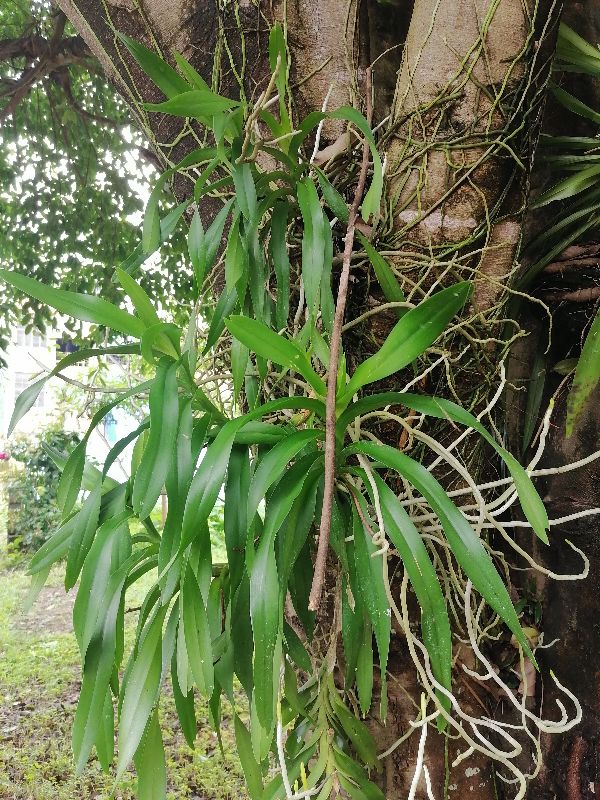 培养文化旅游人才队伍的建议,旅游文化人才培养和创新