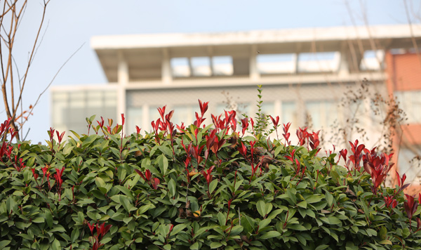 枣庄科技职业学院23年单招分数线,枣庄科技职业技术学院2021分数线