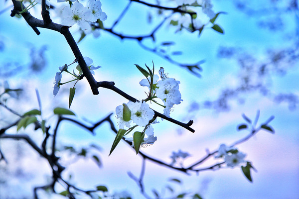 春游江淮请你来滁州版,春游江淮等您来