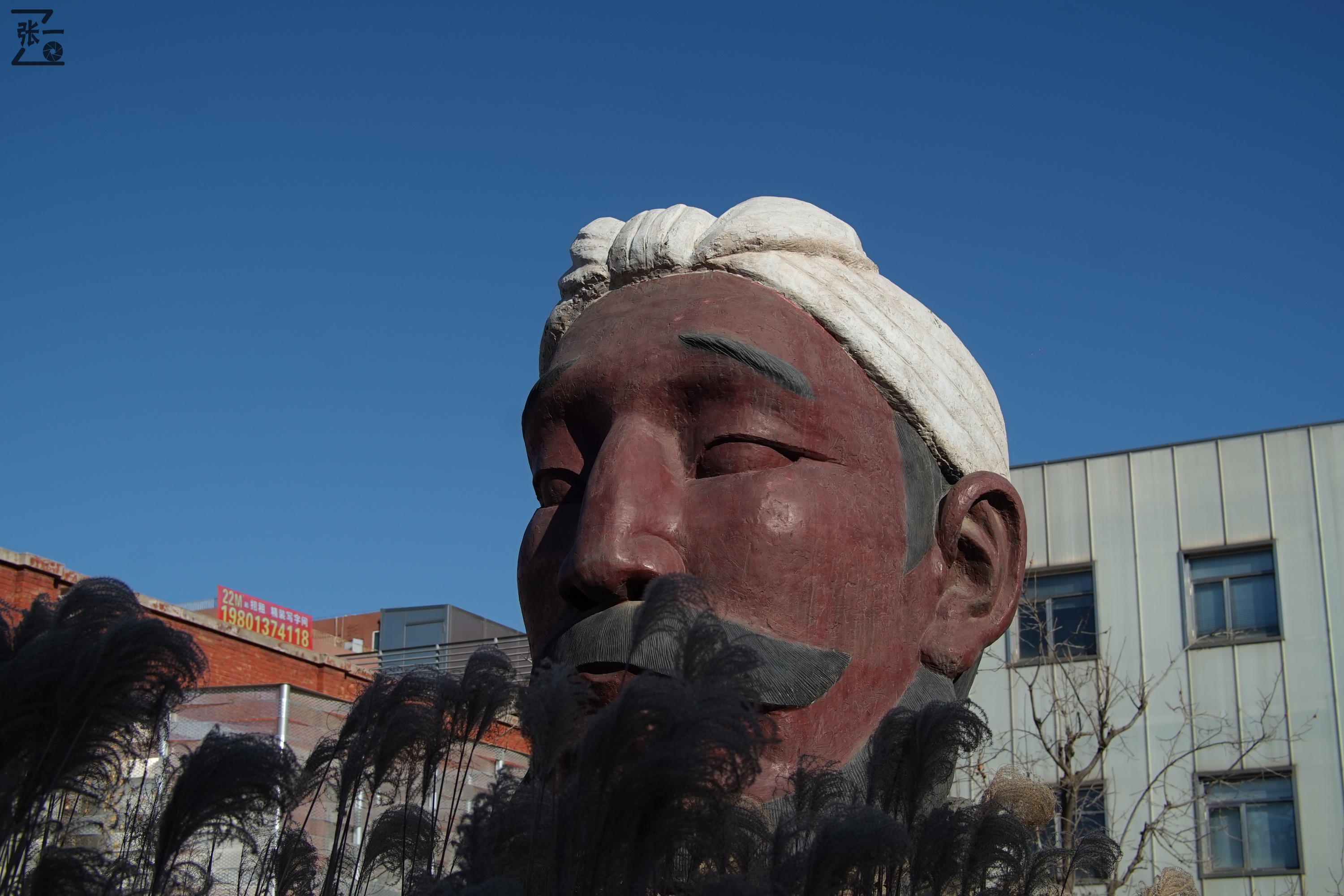 中国产微单,24-135镜头索尼