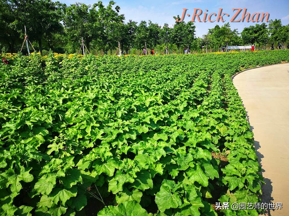 值得参观的国内优秀花园之品鉴（上篇）