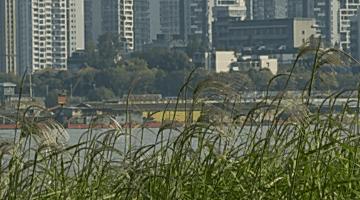 乐游江夏燃动青春,乐游江滩巅峰对决