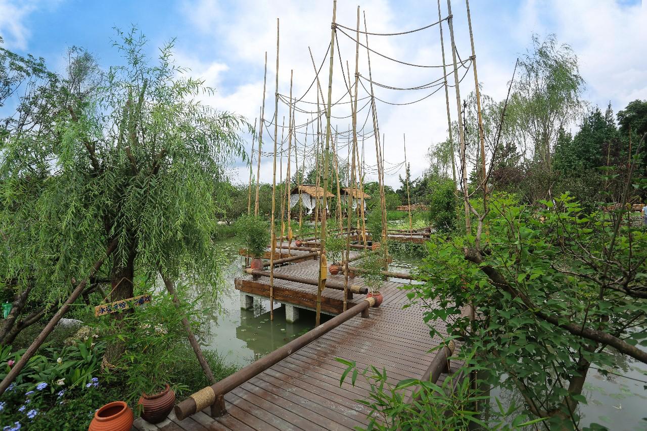 成都温江创新驱动乡村民宿发展开创旅游新体验