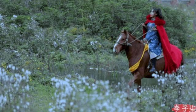 李子柒进驻视频号,热度不敌素人:短视频赛道,暗藏着巨大红利