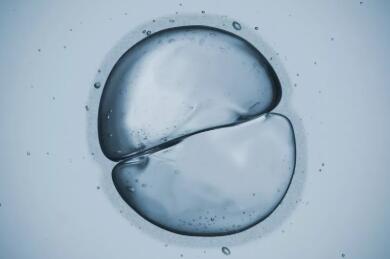 做试管婴儿复杂吗,去做试管婴儿女的该怎样做