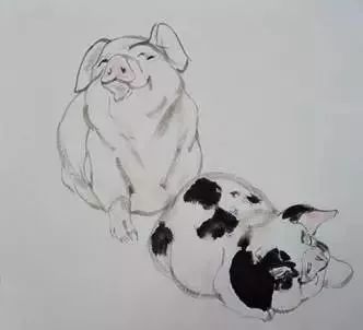 猪年国画：猪的绘画步骤