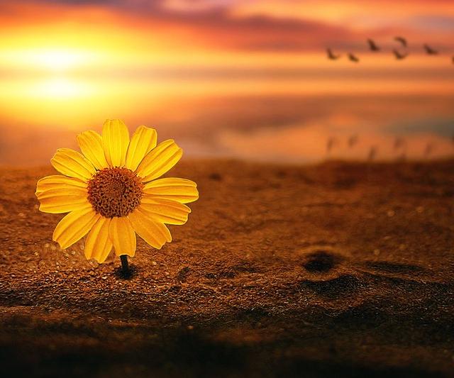 女人的情商高是什么表现,情商高三个表现