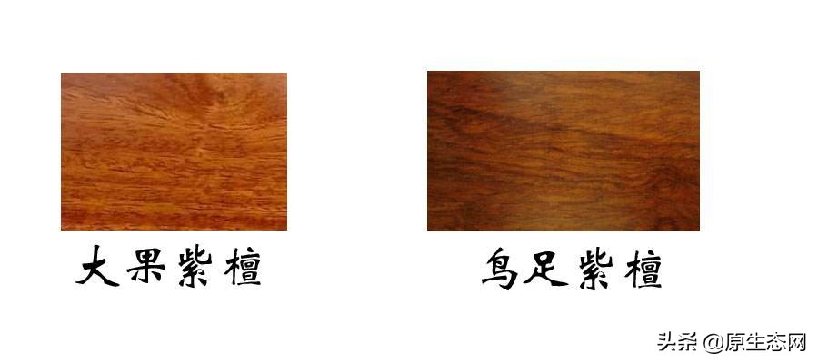 木材回收入门知识大全,木材常用知识大全