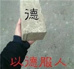 成语表情包照片,成语表情包动态图片