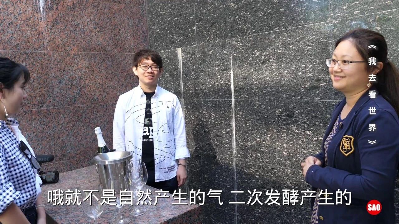 红酒葡萄酒可以放多久,红酒放的不酸不涩了还能喝吗