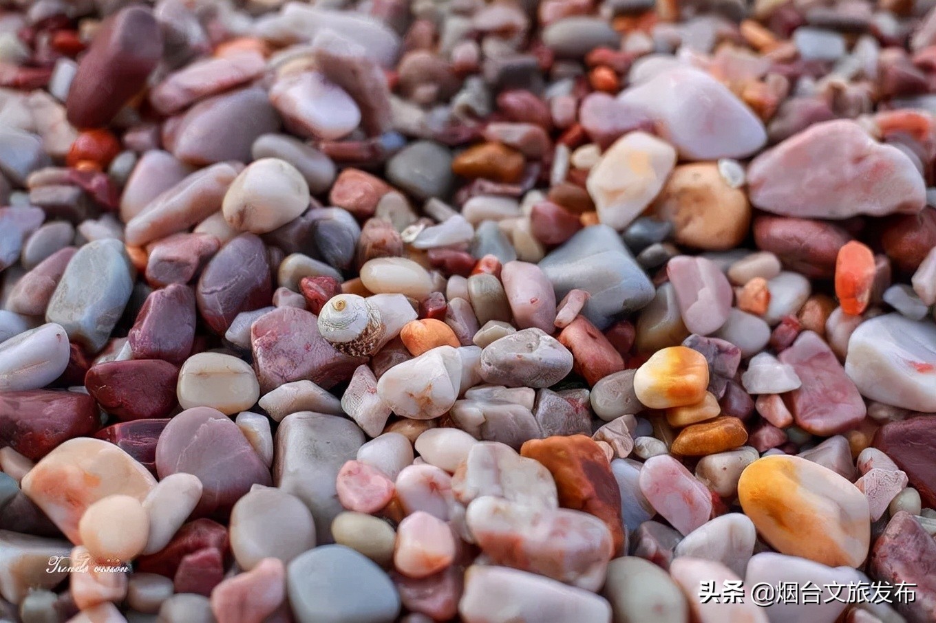 烟台长岛十一假期,十一假期玩转长岛