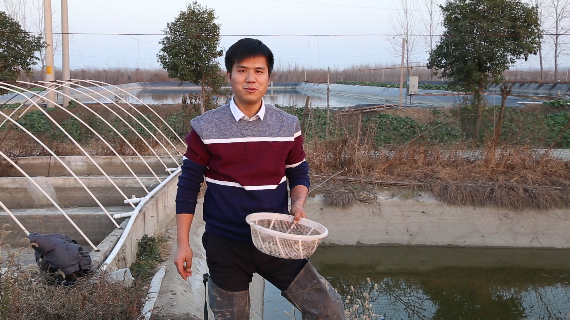 台湾泥鳅养殖成活率怎么样,泥鳅怎么运输才能成活率高