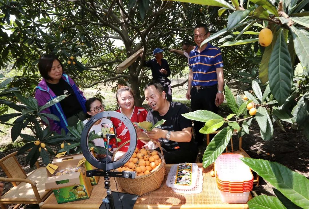 从微店售卖、朋友圈营销到直播带货...看“90后辣妈”变身塘栖枇杷电商“大神”