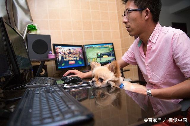 司机兼职副业晚上2-3小时,最适合普通人的20个兼职副业