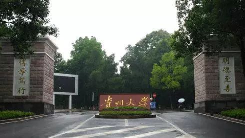 每日一校大学详解,每日一校华南理工大学