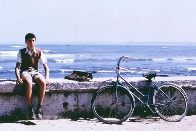 《天堂电影院》引进来，不过我想聊聊《西西里的美丽传说》