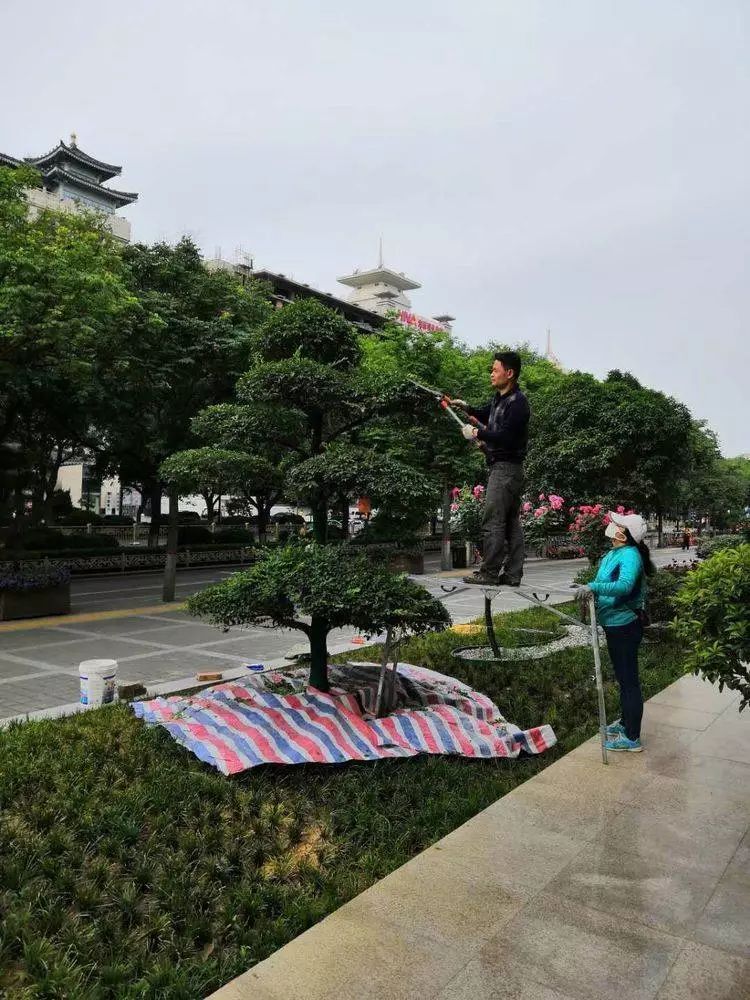 战高温斗酷暑坚守一线工地,战高温斗酷暑坚守一线照片
