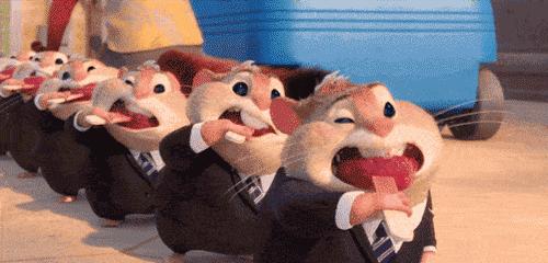 我们从旅鼠之谜中可以学到什么,旅鼠之谜中旅鼠五大奥秘是什么