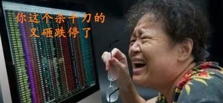 牛市是散户的绞肉机,散户绞肉机什么时候出现