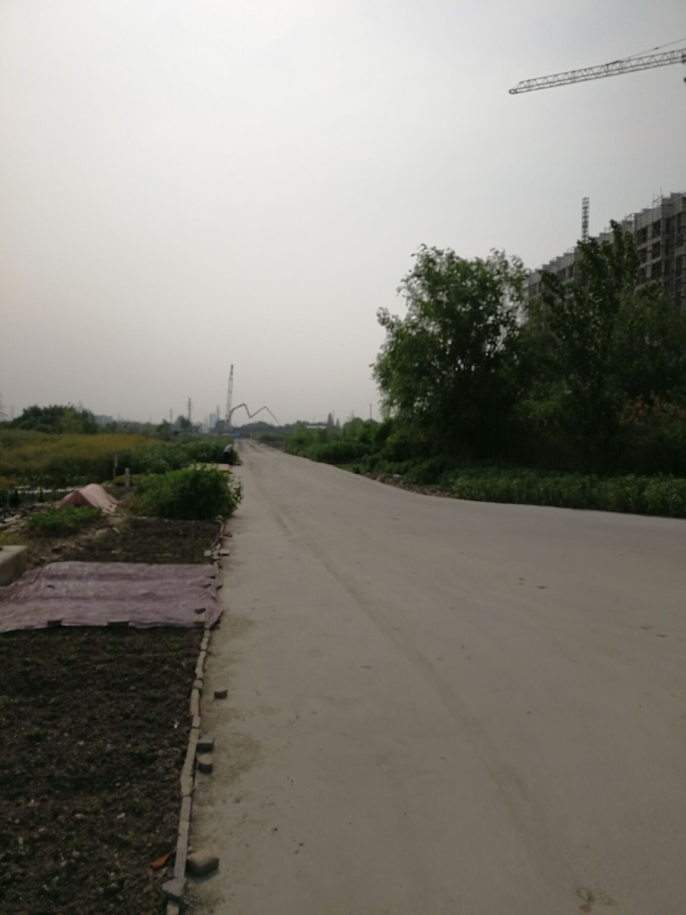 江阴锡澄运河的历史,锡澄运河老照片