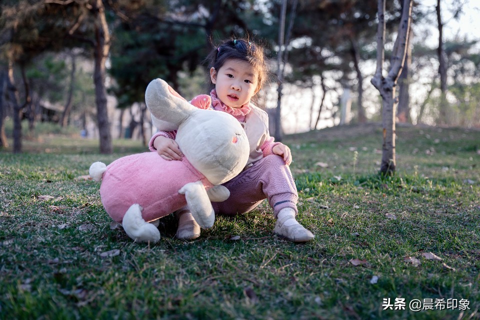 我的第一台相机作品,单反入门级相机推荐