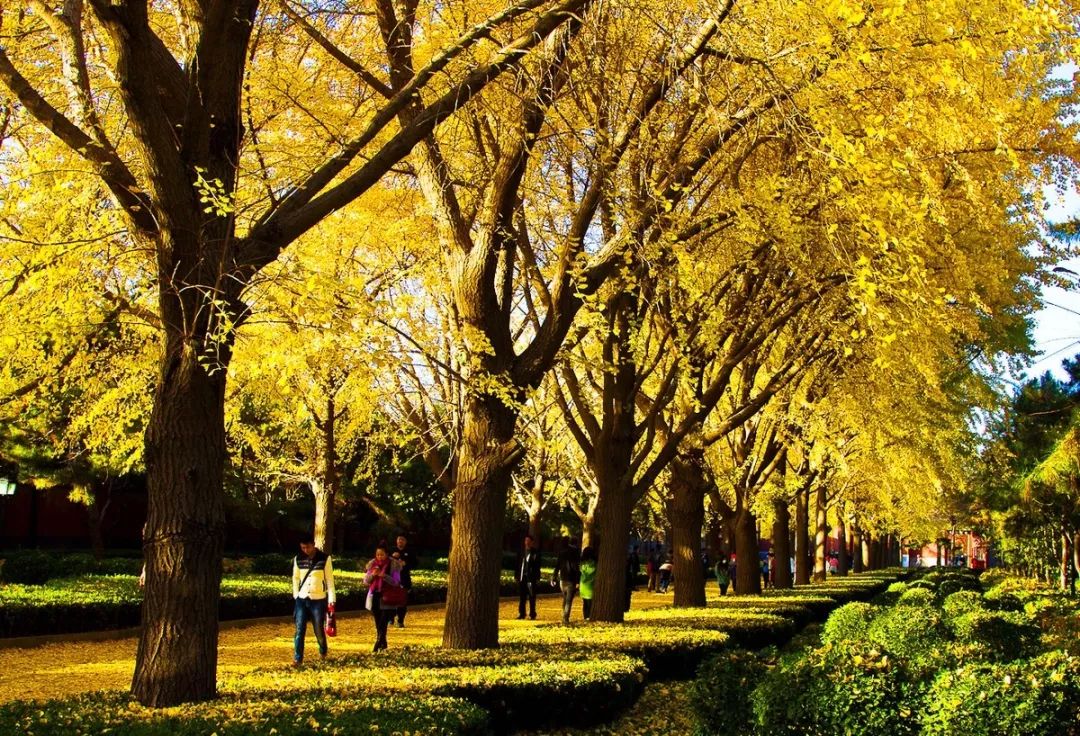 去北京不可错过的地方,不去热门景点游北京