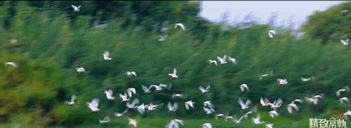 常熟阿诺凭什么做dms的裁判,常熟凭什么房价这么贵