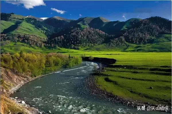 伊犁可克达拉草原,伊犁草原之旅