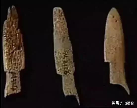 7300年前双性人被当妖魔*杀虐***体下**刺满骨刺~零口姑娘遇害真相