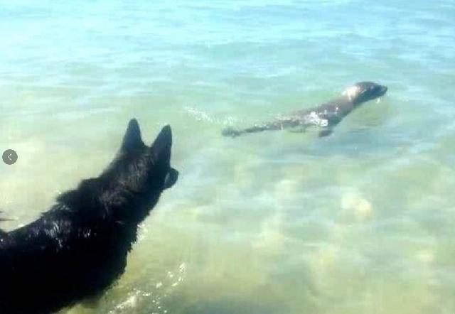 鎵撶媯鐘梾鐤嫍娉ㄦ剰浜嬮」,鎵撶媯鐘梾鐤嫍鏈熼棿绂佸繉
