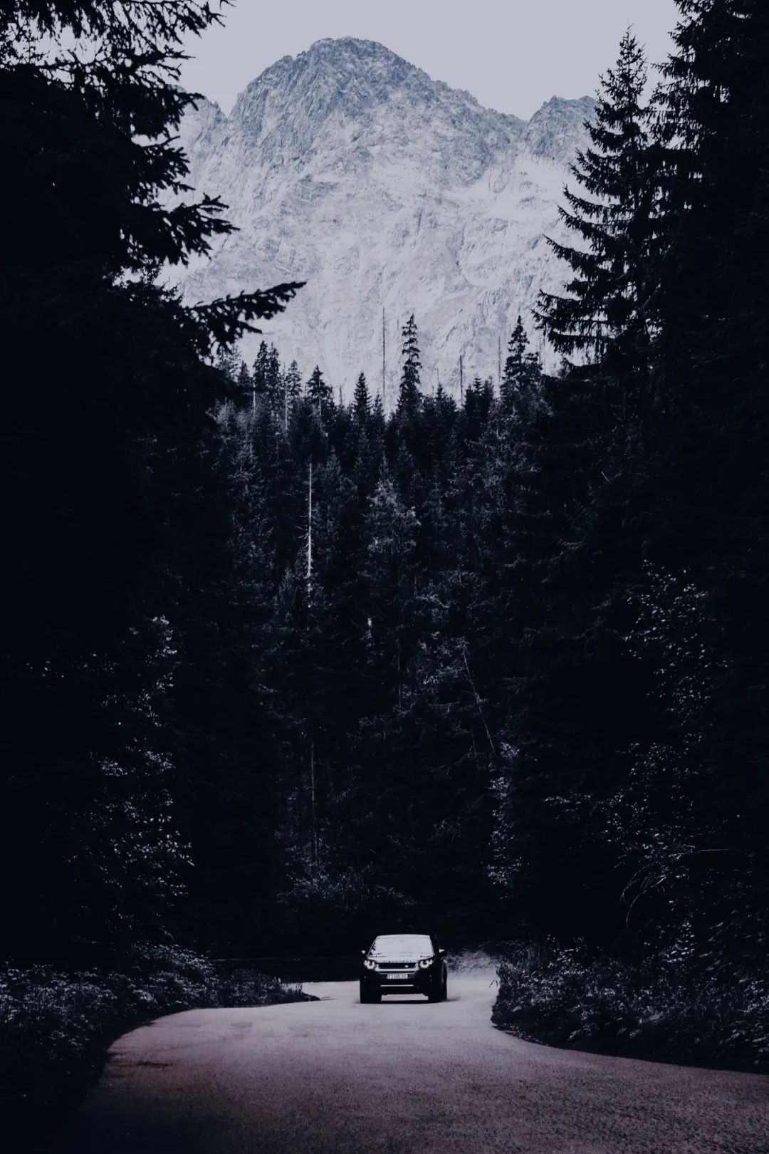 ins风暗黑图片,ins暗黑风格照