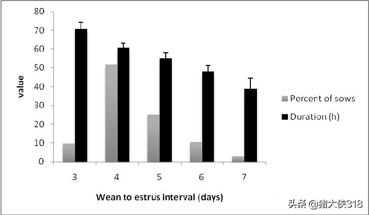 人工授精时间的把握对受胎率的影响「养猪那些事」