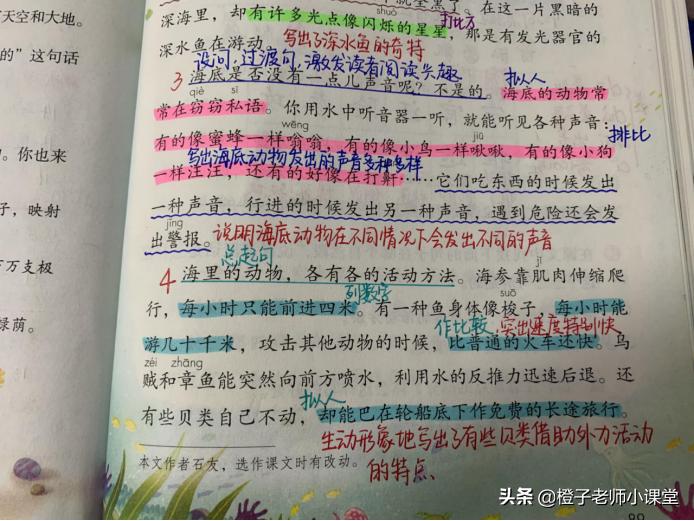 语文三年级下册笔记海底世界,海底世界三年级知识重点