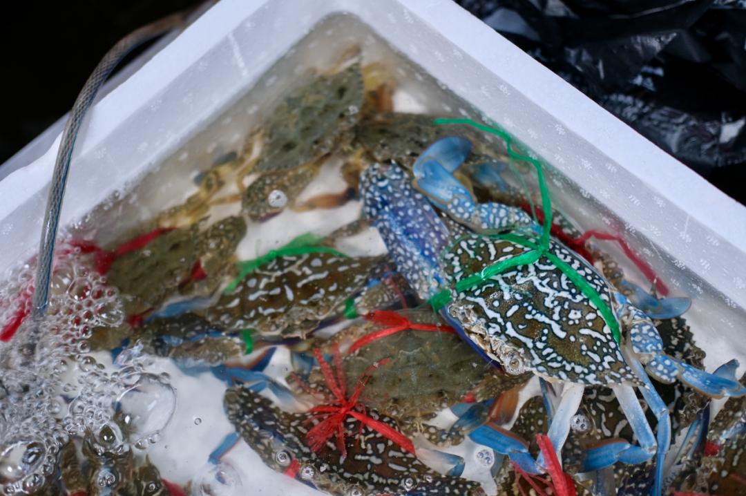 璇ヤ笉璇ュ幓娴峰彛,鏉ュ埌娴峰彛浣犲悗鎮斿悧