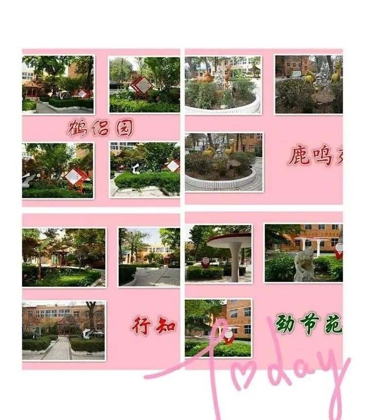 复兴百花幼儿园,邯郸复兴区所有教育机构