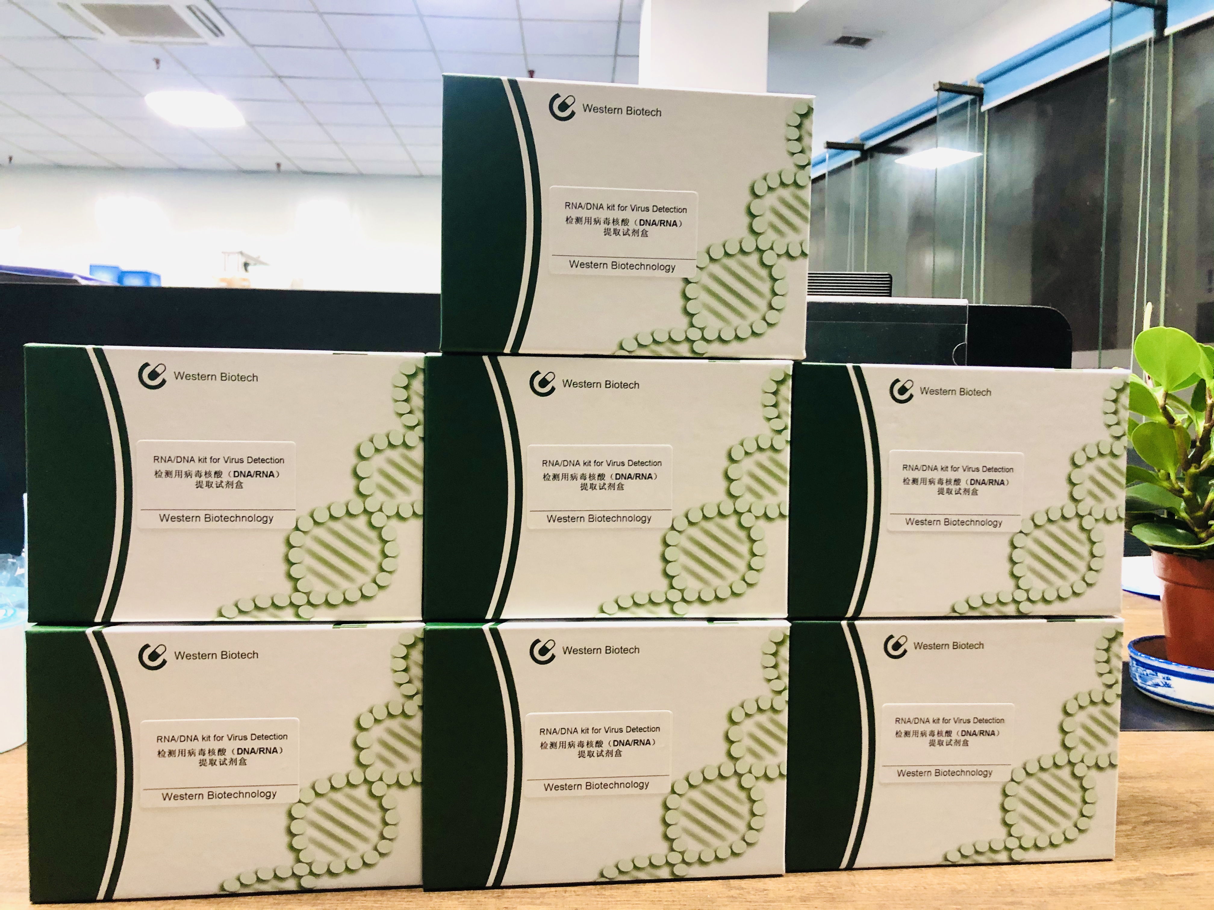 威斯腾生物医药,威斯腾生物现状