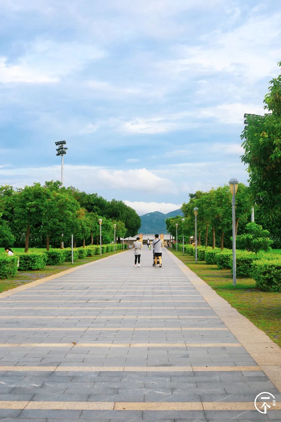 测评深圳湾,我直接被房租劝退