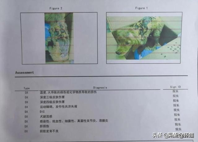 气到发抖对身体有哪些影响,气抖冷梗出处