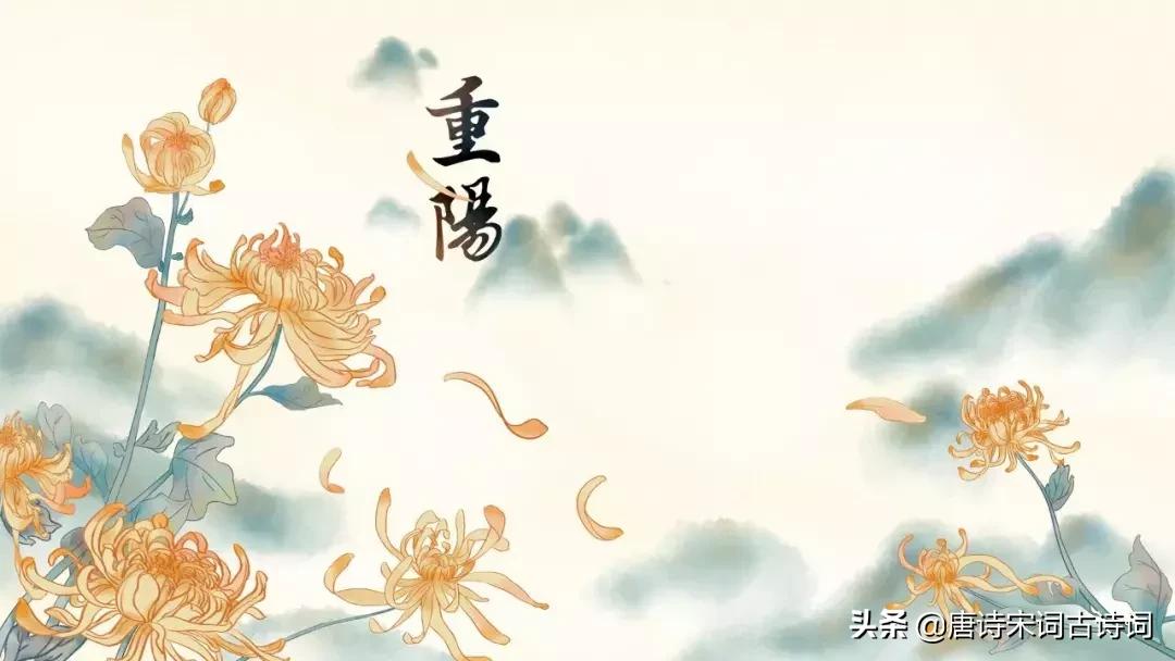 菊花节重阳节,重阳节菊花节