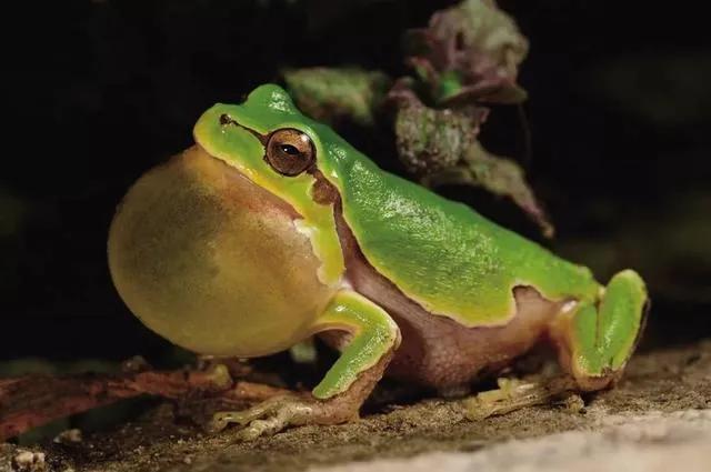 中国最神秘的一个地方是什么,中国最神秘的地方