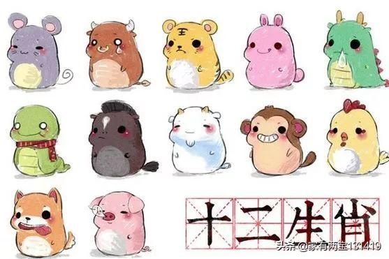 2020年财运最好的生肖是哪些,2022年财运最好的生肖视频