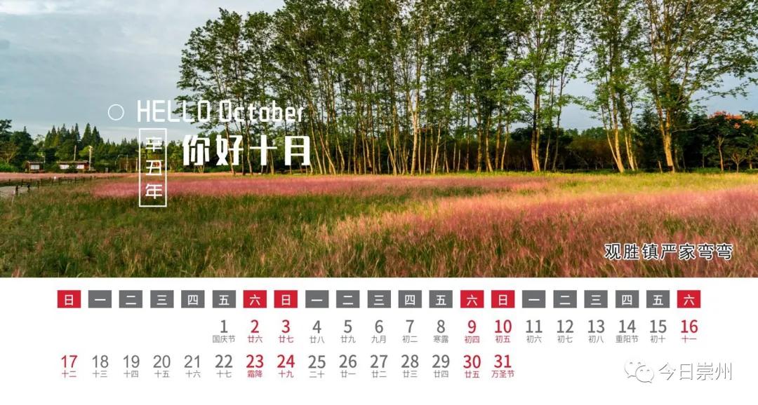 高档送礼台历,精美台历免费领取