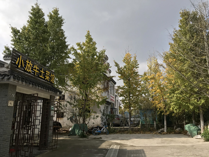 采菊东篱下悠然见南山拙政园,采菊东篱下悠然见南山芒种