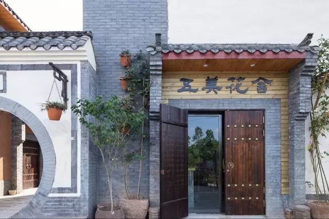 罗江赏梅花,罗江的礼物去哪买