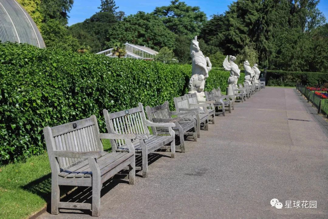 二木带你游花园|邱园（kewgarden）离我们到底有多远？