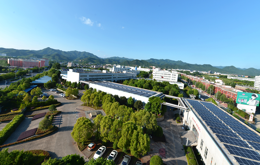 叫板老干妈的辣酱,老干妈2019年狂卖50亿破纪录