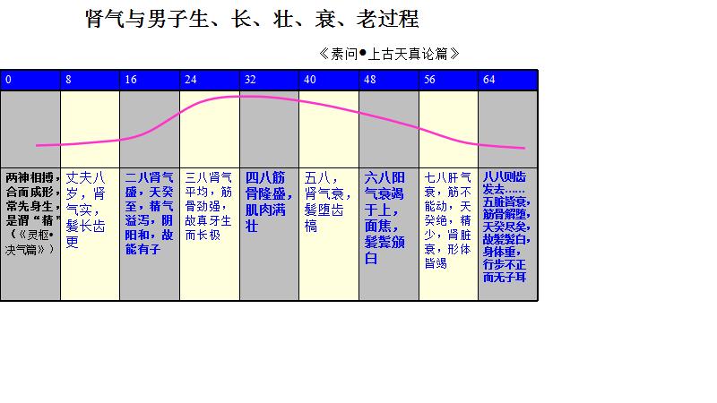 这“肾”不是那“肾”——说说国人口中的“肾”虚