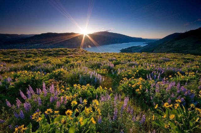 为什么生病要吃药才能治好,有些病不能完全治愈吃药总能缓解