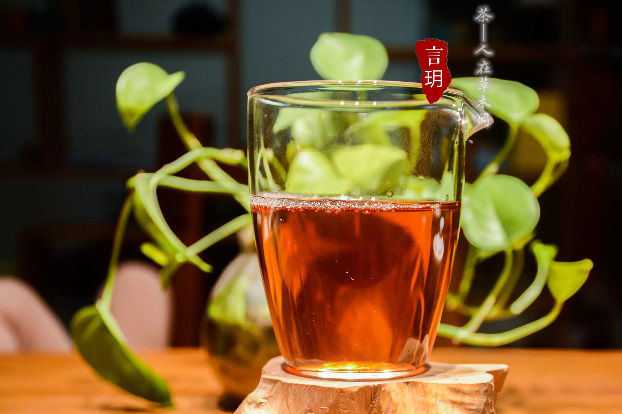 6种品质好茶肉桂,高山肉桂岩茶